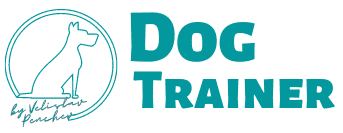 Dog Trainer
